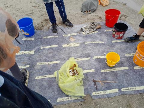 Plastiksammelaktion