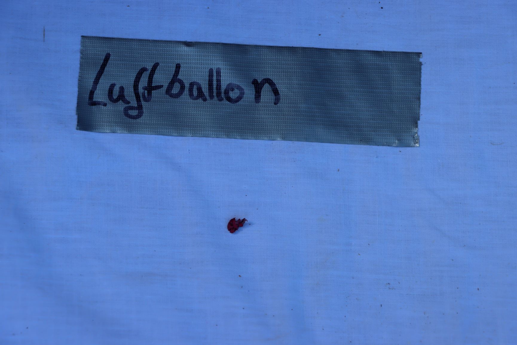B_Luftballon.JPG