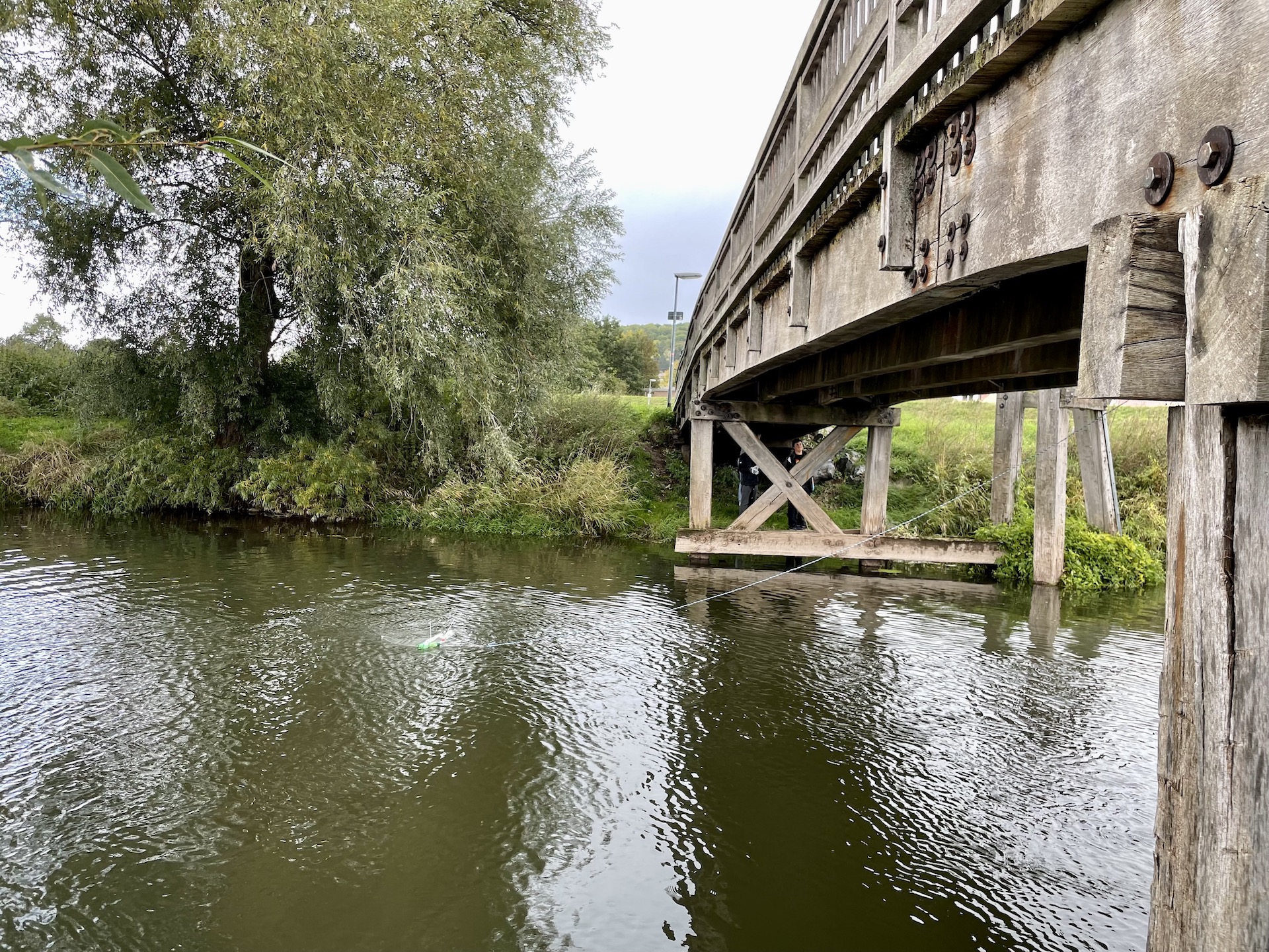 C Netz im Wasser vom Ufer.JPG