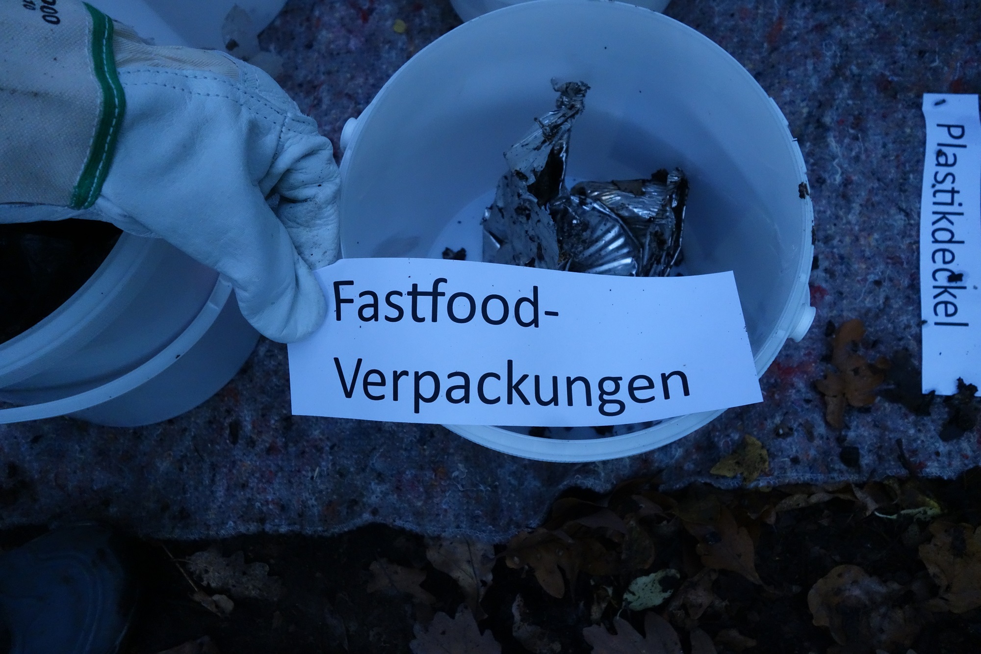 Fastfoodverpackungen_E_F.JPG