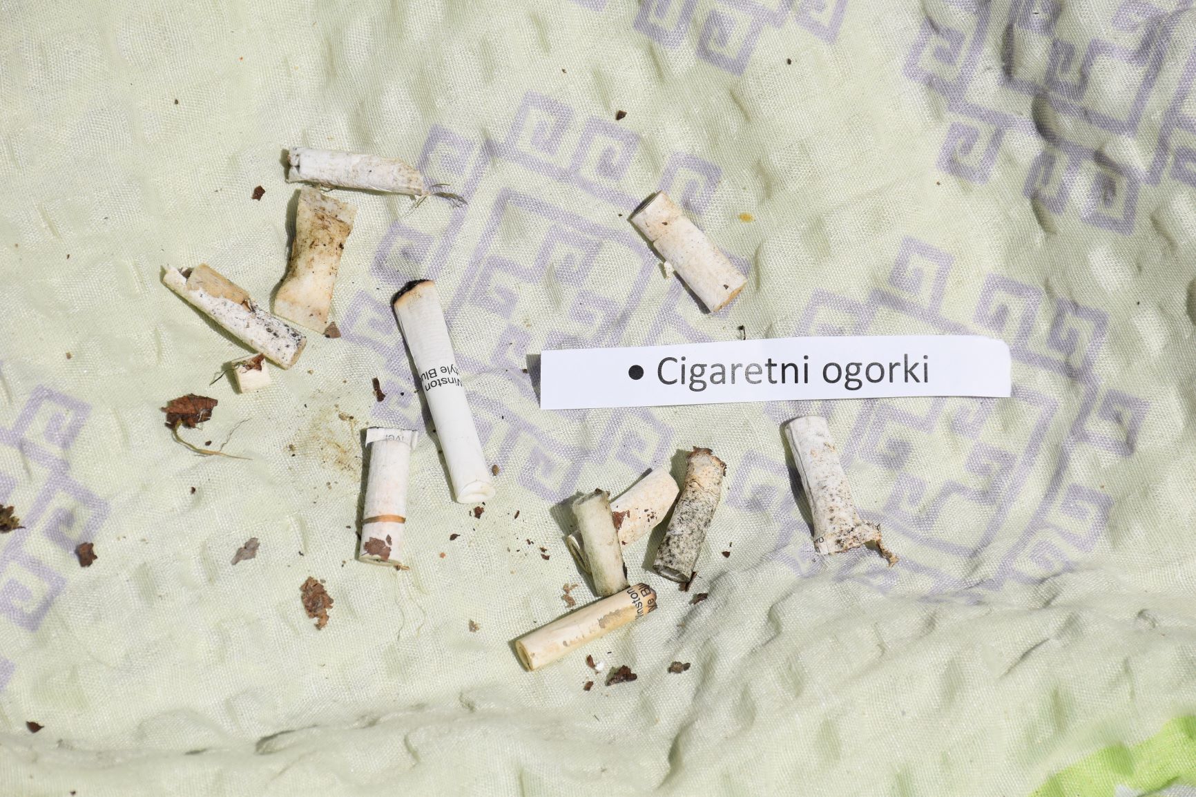 cigaretni ogorki.JPG