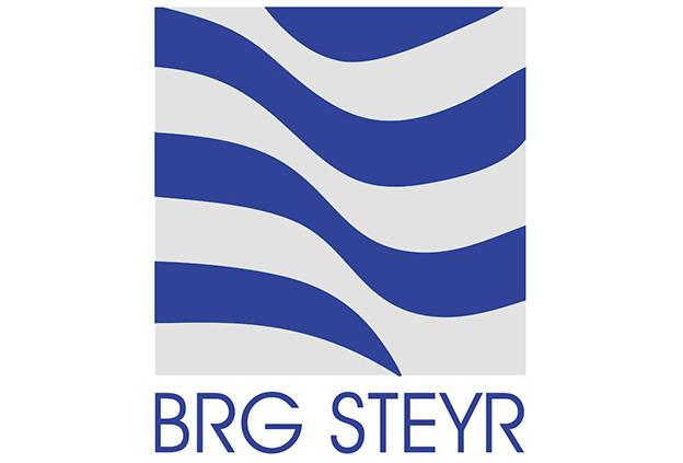 BRG logo.jpg