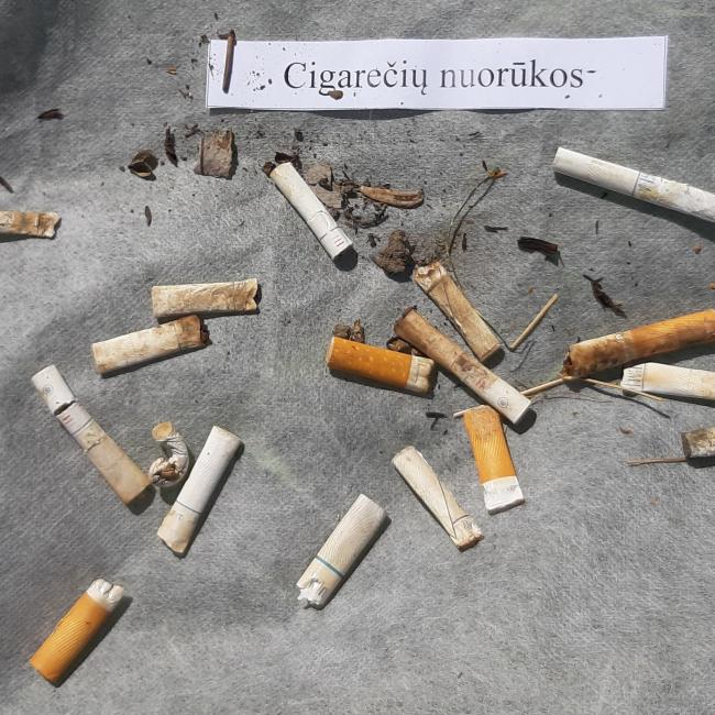 41 cigarečių nuorūkos.jpg
