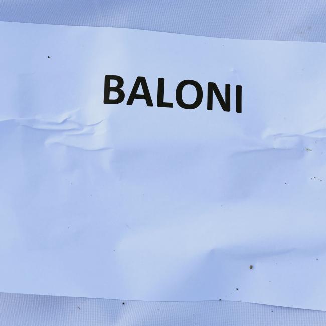 BALONI 1.jpg