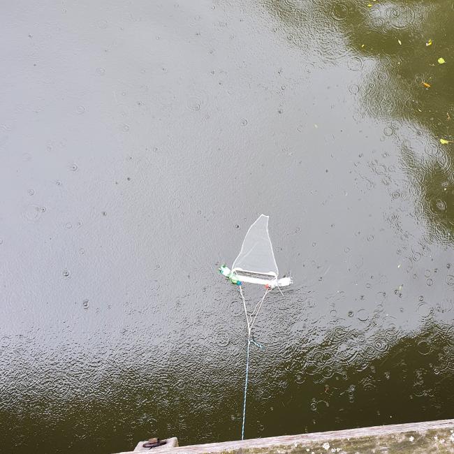 C Netz im Wasser von Brücke.jpg