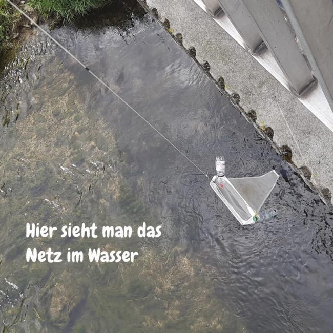 Das Netz im Wasser — Gruppe C 2.jpg