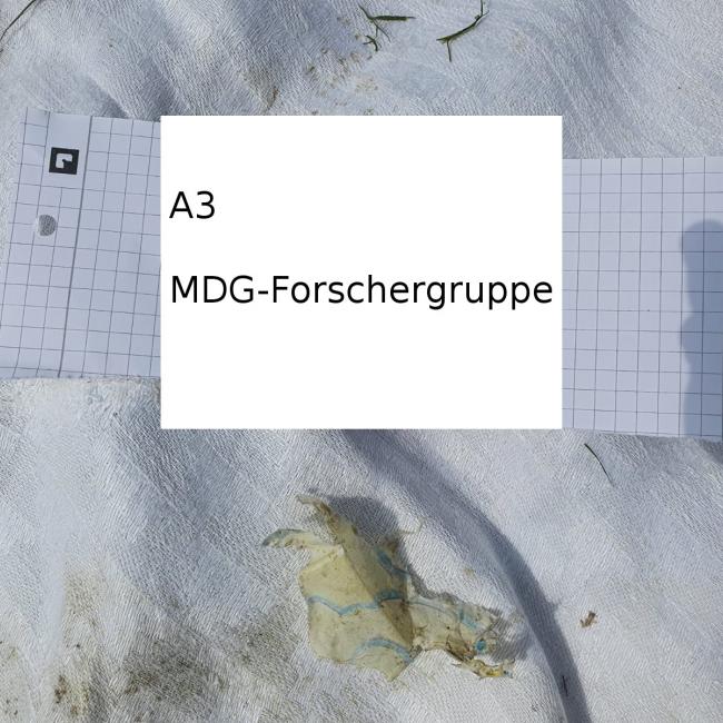 Gruppe A - A3.jpeg