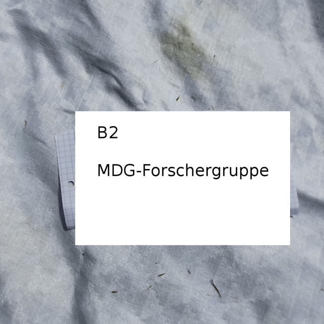 Gruppe A - B2.jpeg