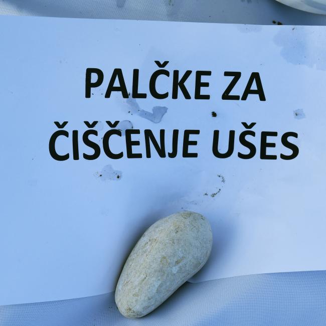 PALČKE ZA ČIŠČENJE UŠES 1P.jpg