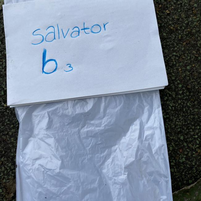 Salvator B3.jpg