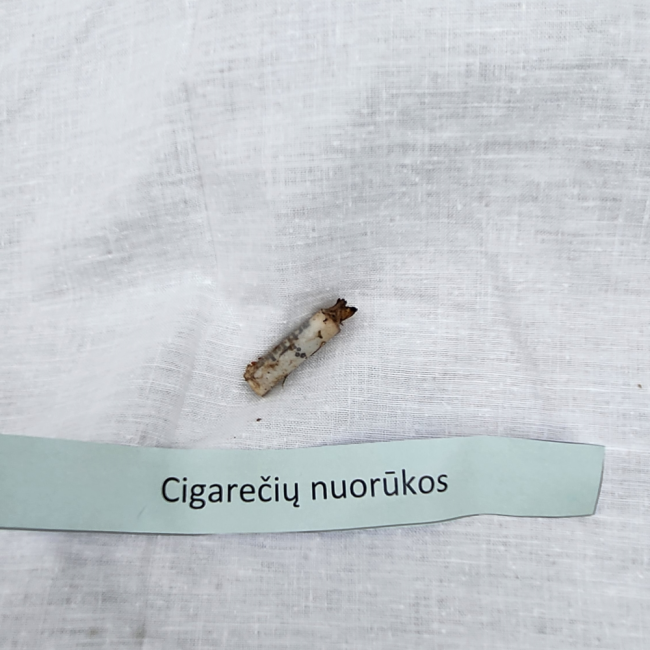 cigareciunuoruka 21.png