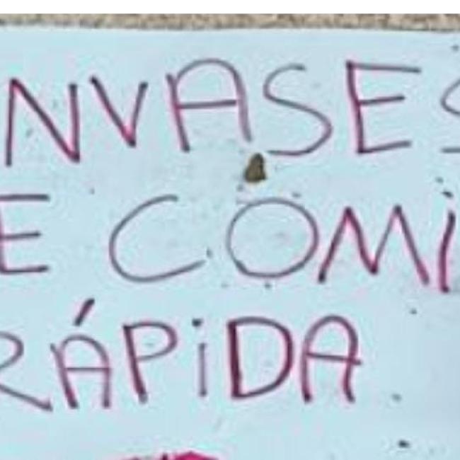 envases comida rapida.jpg