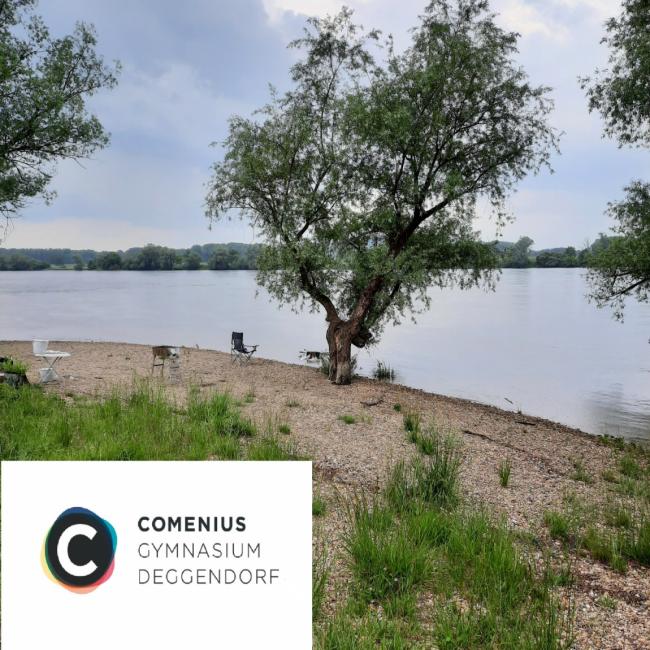 Comenius_Logo+Donau_reduziert.jpg
