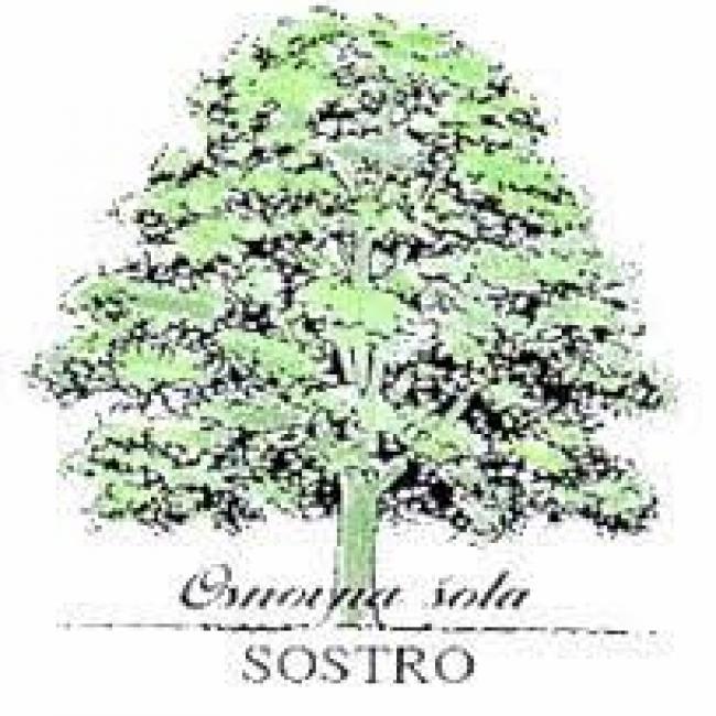 logo os sostro_0.jpg