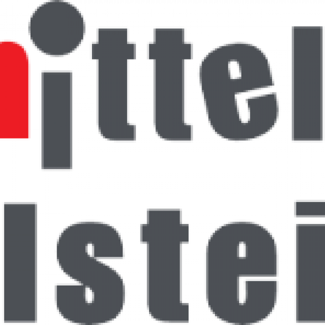 ms-wendelstein_logo.png
