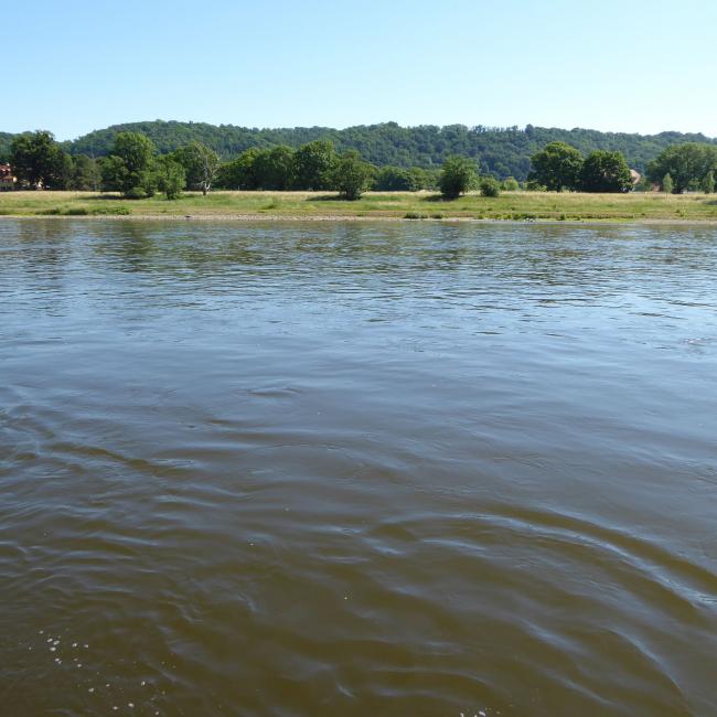 P1000640-1.jpg