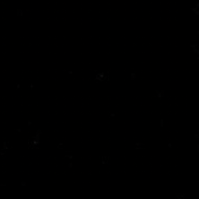 Bildschirmfoto 2022-06-29 um 15.45.31.png