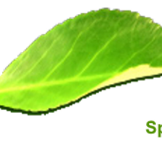 ohg-schriftzug-logo-trans.png