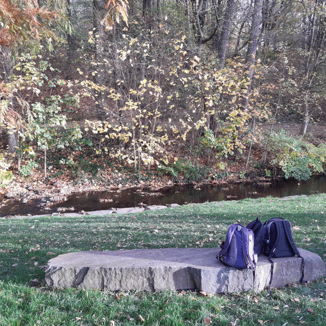 Gruppenbild Profil Goethe Gymnasium Website_0.gif