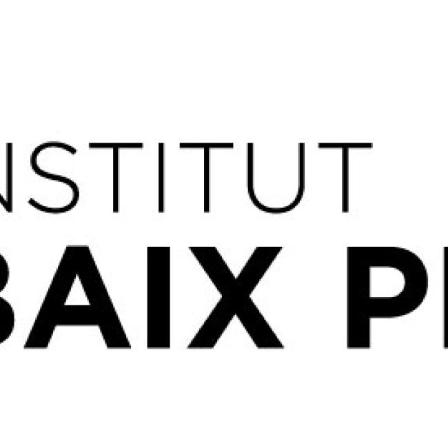 Logo_INS_Baix_Penedes-Horitzontal-FonsBlanc (1).jpg