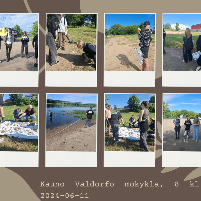 Kauno Valdorfo mokykla, 8 kl., 2024-06-11.png