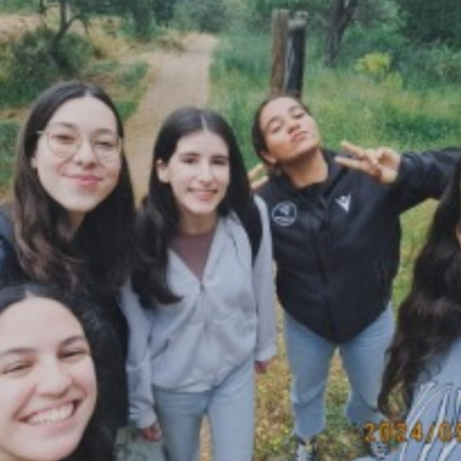 grupo d.png