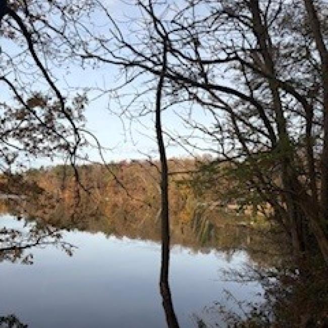 Isabella Schulte PP.jpg